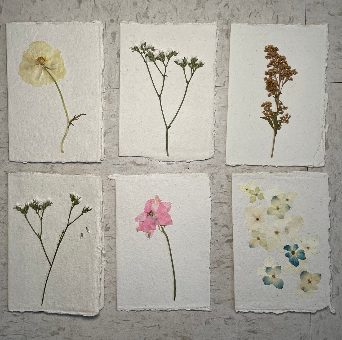 Pressed Floral Cards