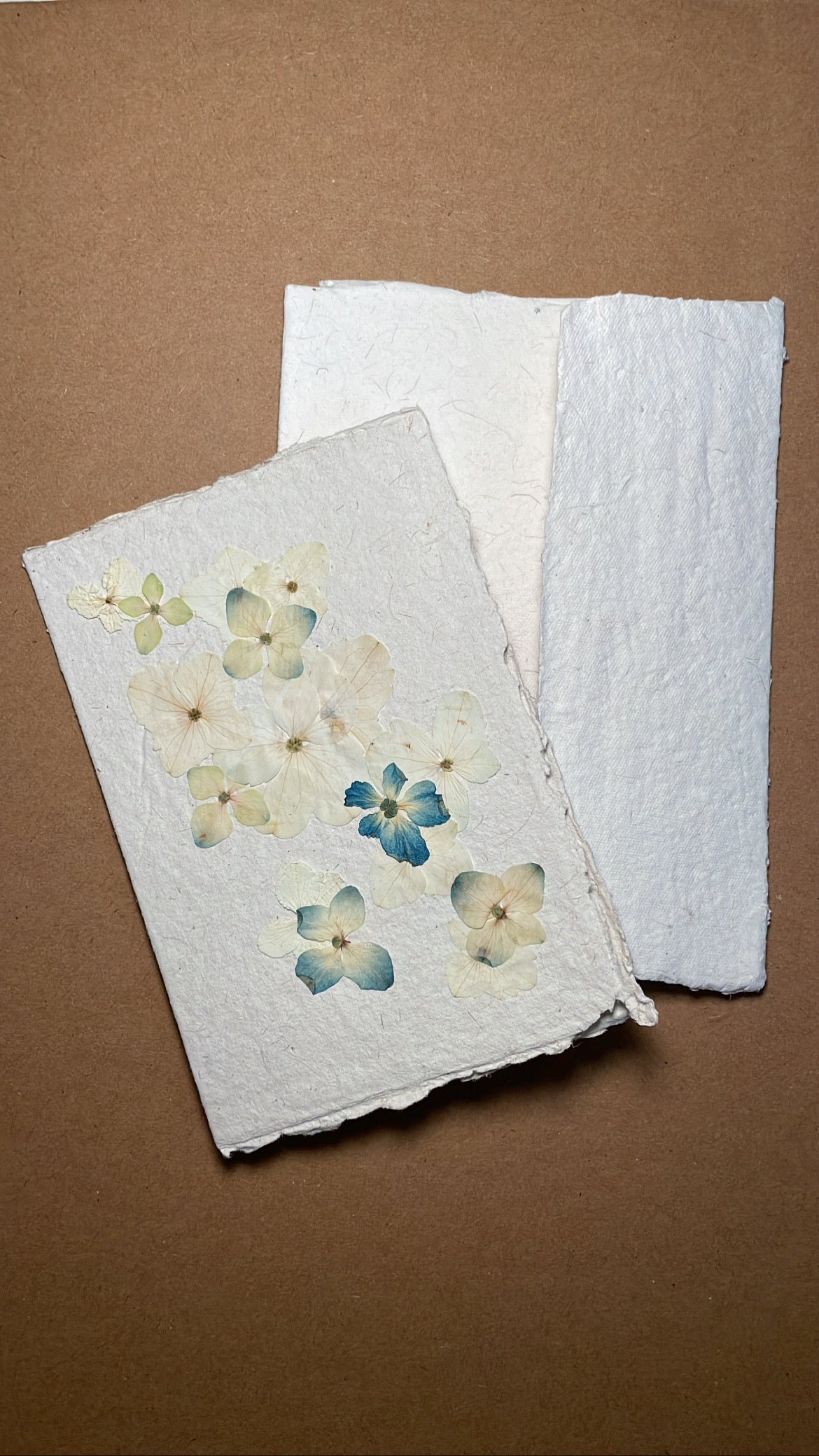 Pressed Floral Cards